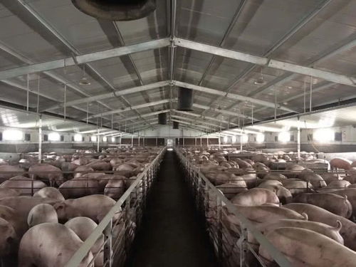 重慶農(nóng)商行 足額信貸 不斷檔 助力百姓日常生活物資供應(yīng) 不掉鏈