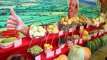 夏季青峰水鄉(xiāng) 親山親水親自然_旅游_網(wǎng)