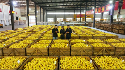 柑橘、檸檬、大蒜……重慶特色農產品出海喜迎“開門紅”