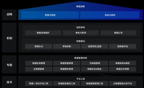 洞見未來，駕馭數據 國內優秀數據治理服務商及軟件開發指南