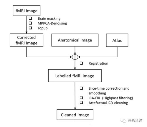 思影科技嚙齒類動(dòng)物神經(jīng)影像數(shù)據(jù)處理業(yè)務(wù)流程圖例解析